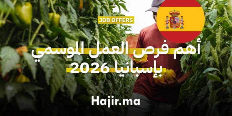عمال يجنون الفواكه في مزارع إسبانيا - عقود العمل الموسمي 2026