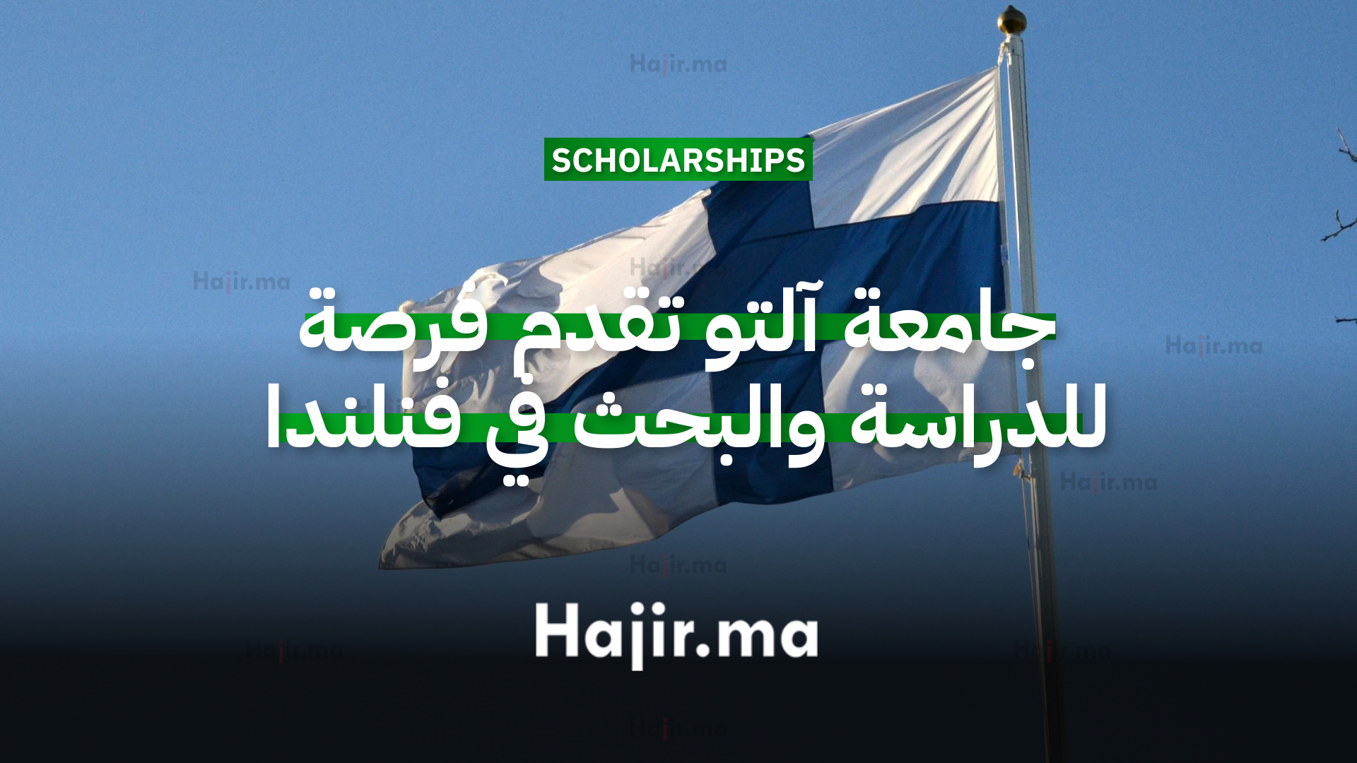 جامعة آلتو تقدم فرصة للدراسة والبحث في فنلندا عبر برنامج أبحاث الصيف بتمويل كامل