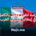 فرصة تطوع ممول بالكامل في إيطاليا للشباب العرب 2026