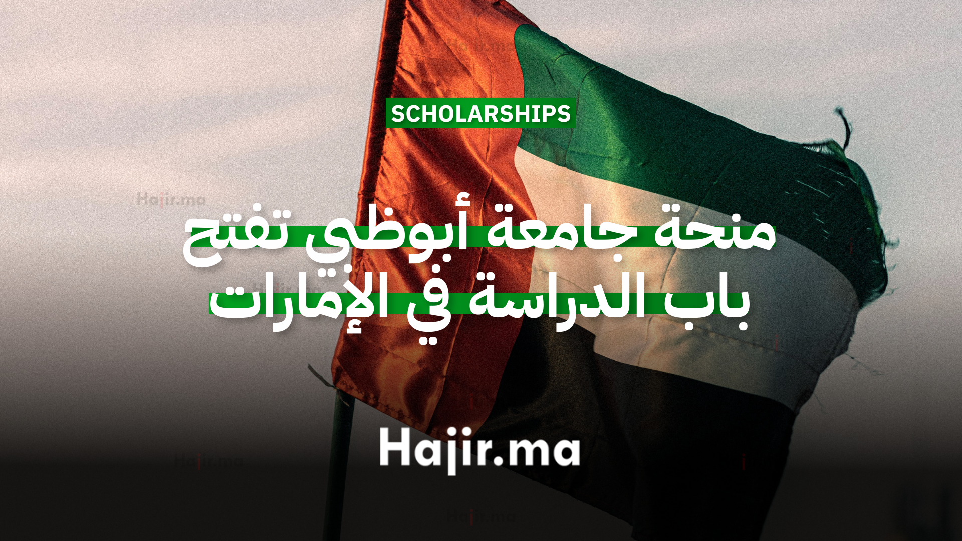 منحة جامعة أبوظبي 2026 الممولة تفتح باب الدراسة في الإمارات للطلاب الدوليين