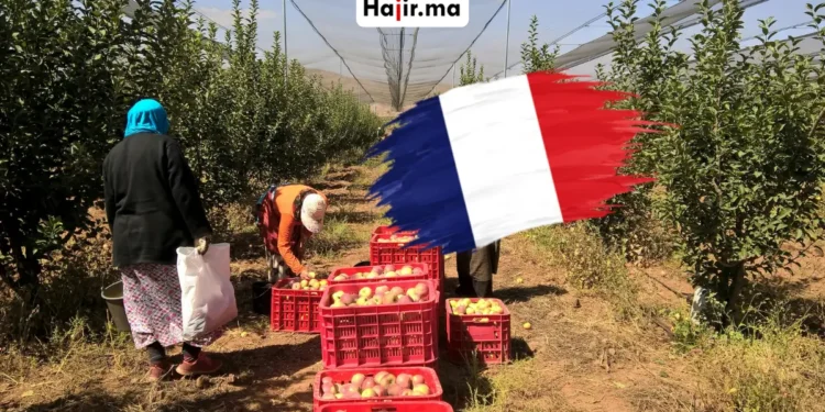 إعلان توظيف عمال مزارع في فرنسا 2026 بعقد عمل موسمي رسمي