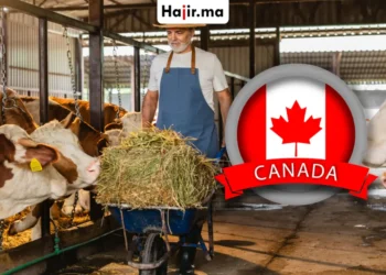 فرصة عمل في كندا للمغاربة والعرب 2026 براتب مرتفع وإقامة قانونية