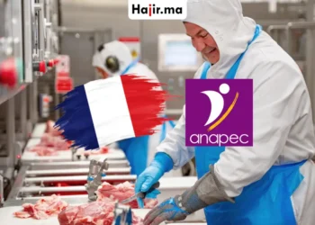 عشرة مناصب شغل في فرنسا ضمن قطاع الصناعات الغذائية وتفاصيل التقديم عبر انابيك