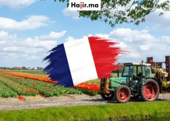 فرصة العمل الزراعي في فرنسا 2026 براتب مجزي وتغطية قانونية كاملة