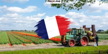 فرصة العمل الزراعي في فرنسا 2026 براتب مجزي وتغطية قانونية كاملة