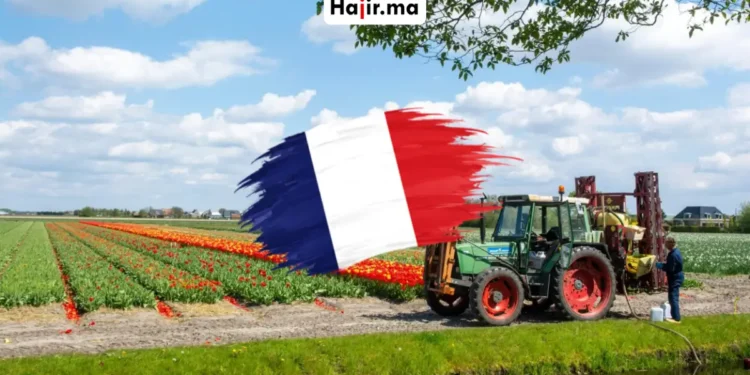 فرصة العمل الزراعي في فرنسا 2026 براتب مجزي وتغطية قانونية كاملة