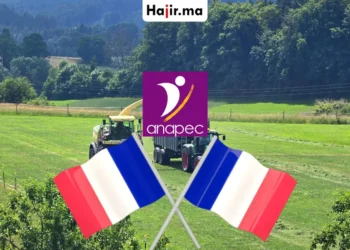 عقد عمل في فرنسا عبر الأنابيك ANAPEC لعمال الغابات براتب 1800 يورو شهرياً