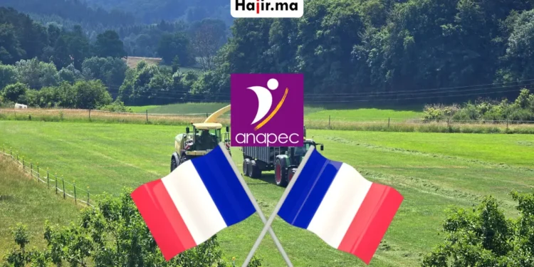 عقد عمل في فرنسا عبر الأنابيك ANAPEC لعمال الغابات براتب 1800 يورو شهرياً