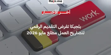 أصحاب العمل في بلجيكا ملزمون بالمنصة الإلكترونية لتصاريح العمل مطلع مايو المقبل