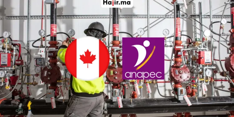 عقد عمل رسمي في كندا عبر الأنابيك ANAPEC براتب مجزي وتأشيرة عمل 2026