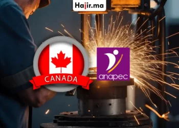 عقد عمل رسمي في كندا عبر ANAPEC لتوظيف 30 ملحم براتب 7900 دولار والفيزا
