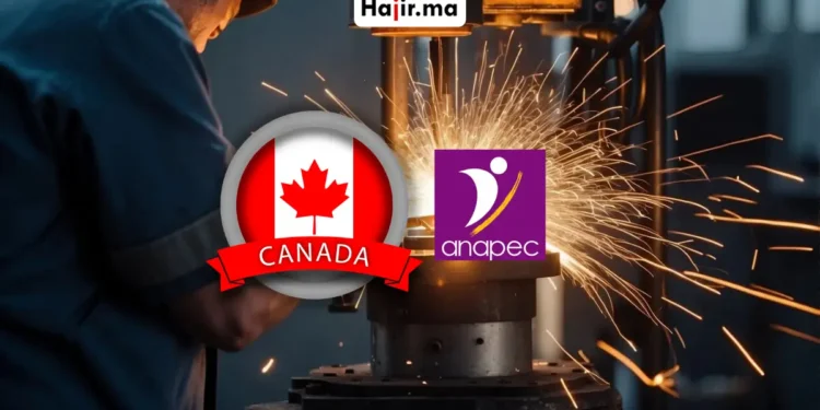 عقد عمل رسمي في كندا عبر ANAPEC لتوظيف 30 ملحم براتب 7900 دولار والفيزا