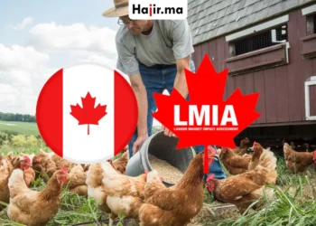 عروض شغل رسمية في كندا بتأشيرة عمل وتأمين صحي شامل للموسم الفلاحي