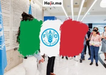 فرصة عقد تدريب ممول في منظمة الفاو بإيطاليا 2026 براتب شهري وإقامة قانونية