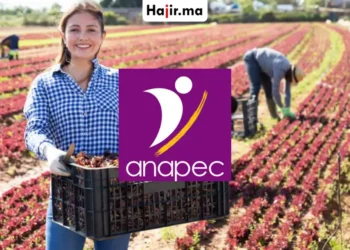 فرصة شغل دولية براتب شهري وحوافز مالية للعاملات الفلاحيات عبر الأنابيك ANAPEC