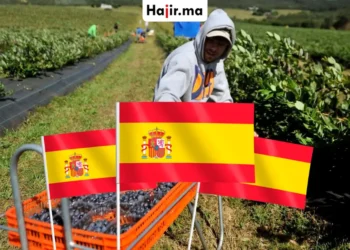 العمل في إسبانيا للأجانب لعام 2026 ودليل الرواتب والمهن الأعلى دخلاً