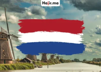 فرصة تطوع في هولندا شاملة تكاليف الطيران والتأمين الصحي مع راتب شهري ثابت