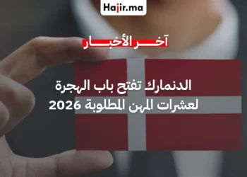 الدنمارك تحدّث "القائمة الإيجابية" لتأشيرات العمل وتفتح باب الهجرة لعشرات المهن