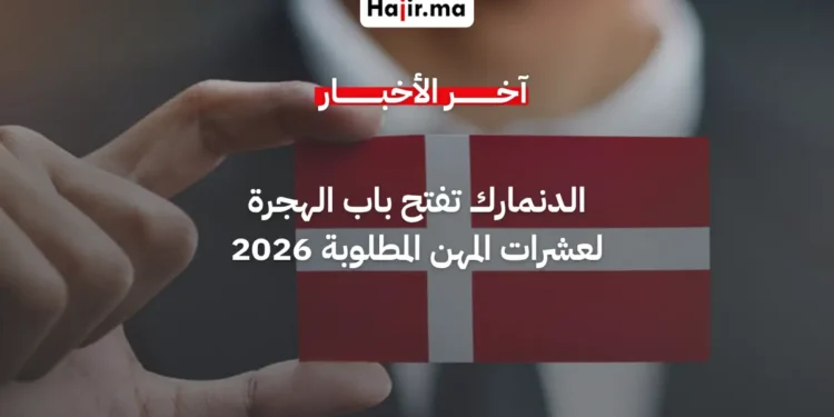 الدنمارك تحدّث "القائمة الإيجابية" لتأشيرات العمل وتفتح باب الهجرة لعشرات المهن