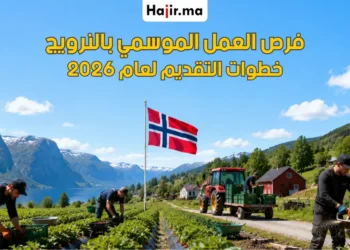 العمل الموسمي في النرويج وشروط التقديم لعام 2026