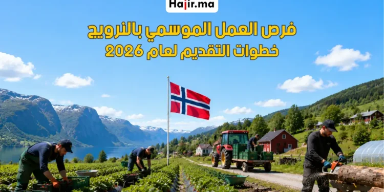 العمل الموسمي في النرويج وشروط التقديم لعام 2026
