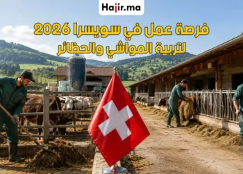 فرصة عمل في سويسرا لتربية المواشي وتنظيف الحظائر براتب مجزي لعام 2026