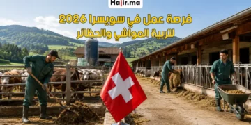 فرصة عمل في سويسرا لتربية المواشي وتنظيف الحظائر براتب مجزي لعام 2026