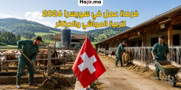 فرصة عمل في سويسرا لتربية المواشي وتنظيف الحظائر براتب مجزي لعام 2026