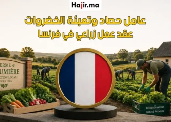 فرصة عمل عامل جني وتعبئة خضروات في فرنسا 2026 المزايا والتقديم الرسمي