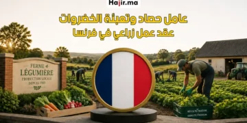 فرصة عمل عامل جني وتعبئة خضروات في فرنسا 2026 المزايا والتقديم الرسمي