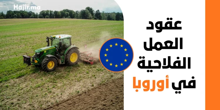 طريقة البحث عن عقد عمل في الفلاحة بأوروبا لعام 2027