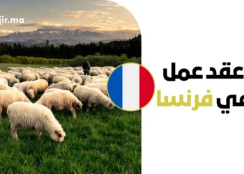 عقد عمل عامل تربية مواشي في فرنسا 2026 براتب يورو مجزي ودعم التأشيرة