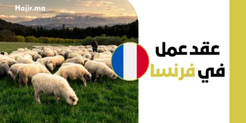 عقد عمل عامل تربية مواشي في فرنسا 2026 براتب يورو مجزي ودعم التأشيرة