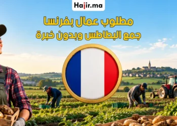 فرصة عمل في فرنسا بعقد رسمي موسمية في الفلاحة لعام 2026