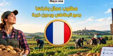 فرصة عمل في فرنسا بعقد رسمي موسمية في الفلاحة لعام 2026