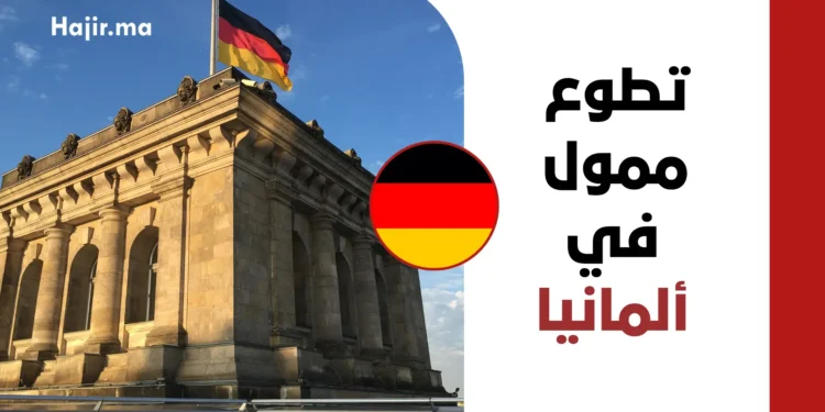 تطوع ممول بالكامل في ألمانيا 2027 | تفاصيل الراتب الشهري وشروط تأشيرة التطوع