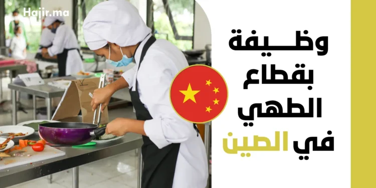 فرصة العمل بقطاع الطهي في الصين براتب مجزي وعقد دائم وتأمين صحي