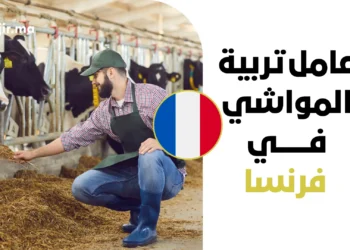 فرصة عمل في فرنسا براتب مجزي وعقد رسمي لعام 2026 لوظيفة عامل تربية المواشي