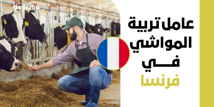 فرصة عمل في فرنسا براتب مجزي وعقد رسمي لعام 2026 لوظيفة عامل تربية المواشي